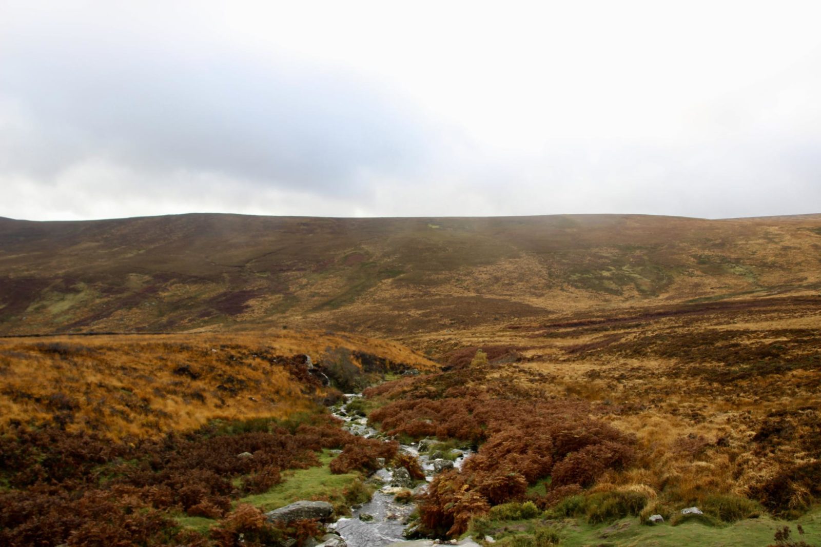 24 Hours in The Wicklow Mountains